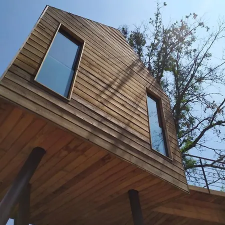 Nido Sull'albero Poppi